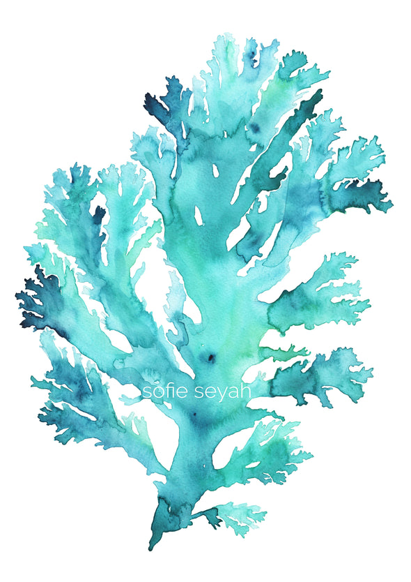 Turquoise Seaweed